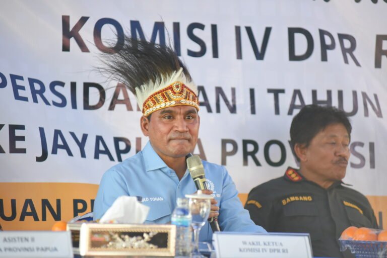 Sungguh Disayangkan! Potensi Ekonomi Biru di Papua Sangat Besar, Sarprasnya Masih Minim