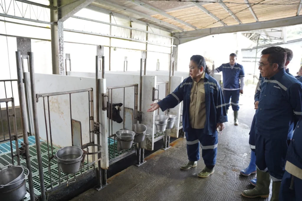 Stop Impor Susu Bubuk! Komisi IV DPR RI Desak Intervensi Kebijakan, Produk Lokal Fresh Milk Lebih Bergizi Tapi Kontribusi Industri Cuma 14%