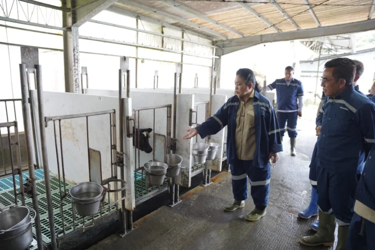 Stop Impor Susu Bubuk! Komisi IV DPR RI Desak Intervensi Kebijakan, Produk Lokal Fresh Milk Lebih Bergizi Tapi Kontribusi Industri Cuma 14%