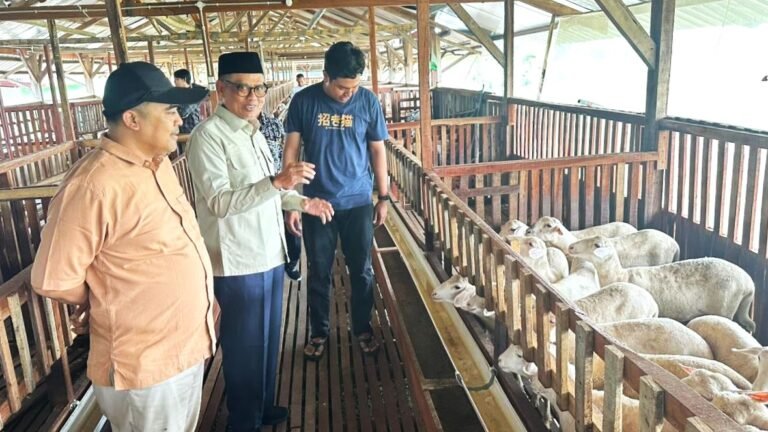 Inovasi Ala Wagyu Jepang, Fikri Faqih Puji Kreativitas Peternak Muda di Tegal