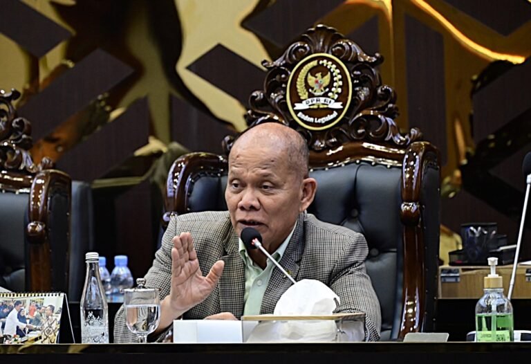 Pembedaan Signifikan antara RUU Satu Data Indonesia dan RUU Statistik Harus Diperjelas