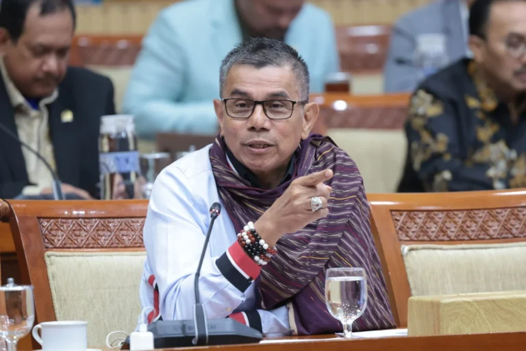 Bahas RUU Perampasan Aset, Hinca Panjaitan Soroti Dugaan Penyimpangan Bisnis di BUMN