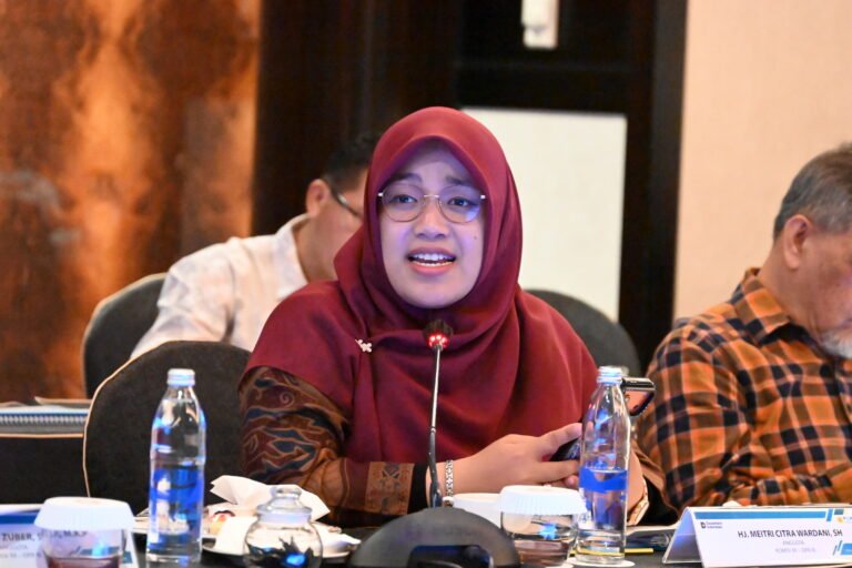 Erupsi Gunung Api, Meitri Citra Dorong Perkuat Mitigasi Bencana Geologi Terukur