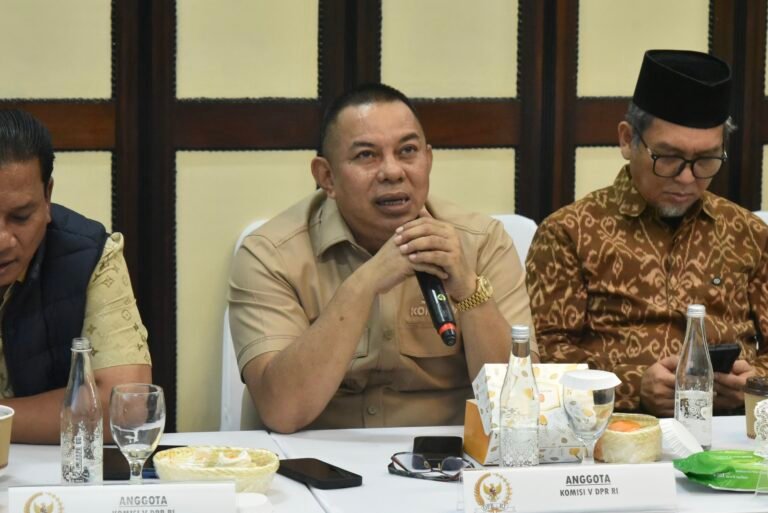 Insiden Krakatau Jadi Sorotan, Boyman Harun Minta BMKG dan Basarnas Terhubung