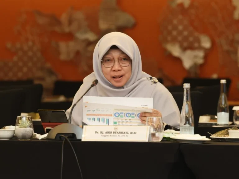 Anis Byarwati Soroti Tingginya Pencabutan Izin BPR dan BPRS di Jawa Barat
